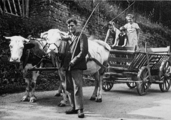 alte Zeiten alte Zeiten