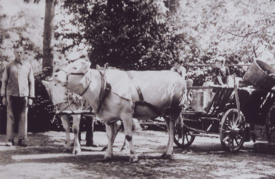 alte Zeiten alte Zeiten