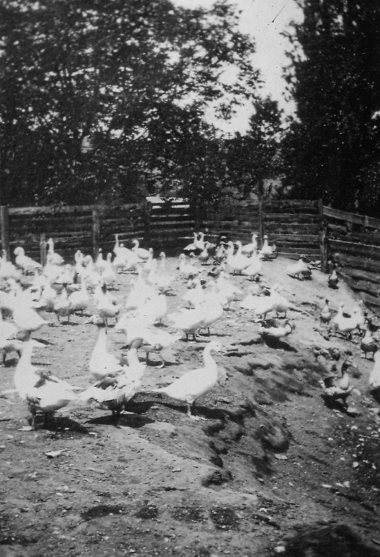 alte Zeiten alte Zeiten