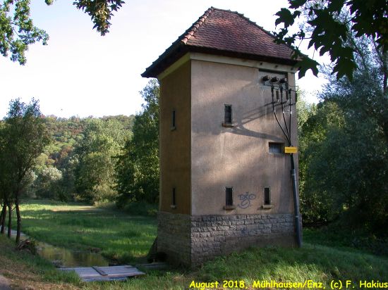 Enzwiesen-Bewässerung