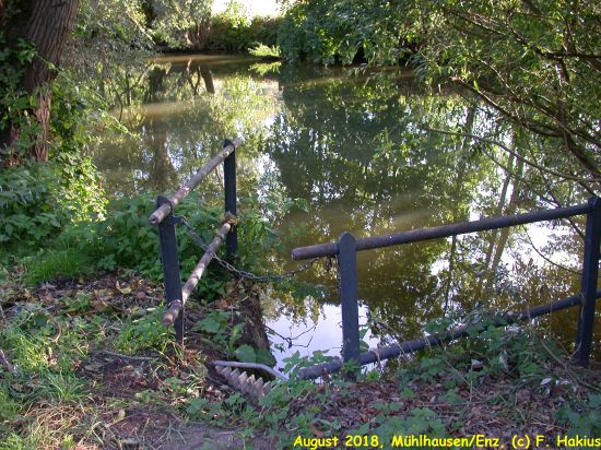 Enzwiesen-Bewässerung