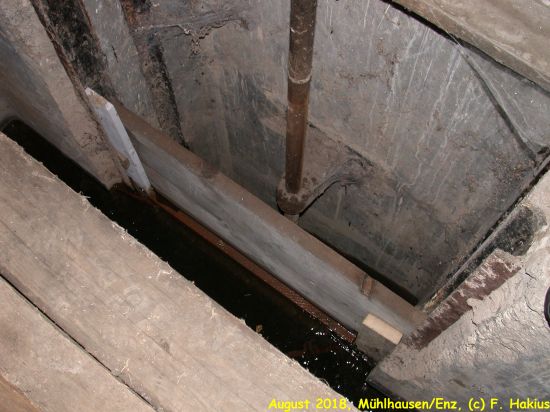 Enzwiesen-Bewässerung