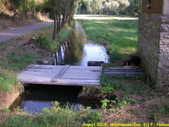 Enzwiesen-Bewässerung