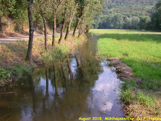 Enzwiesen-Bewässerung