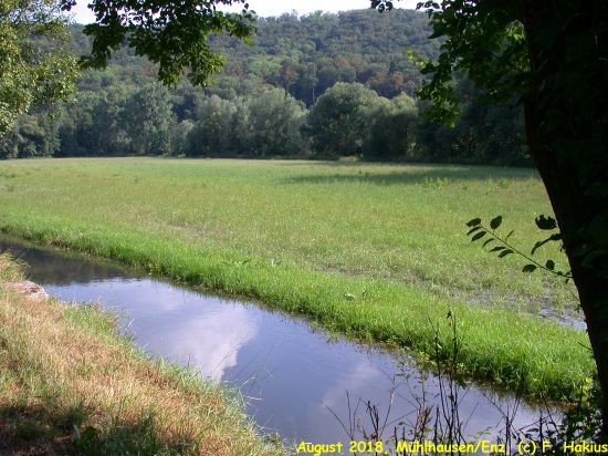Enzwiesen-Bewässerung