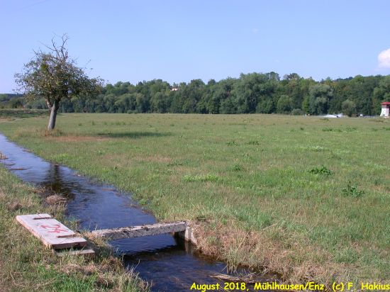 Enzwiesen-Bewässerung