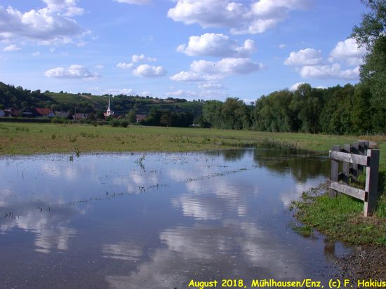 Enzwiesen-Bewässerung
