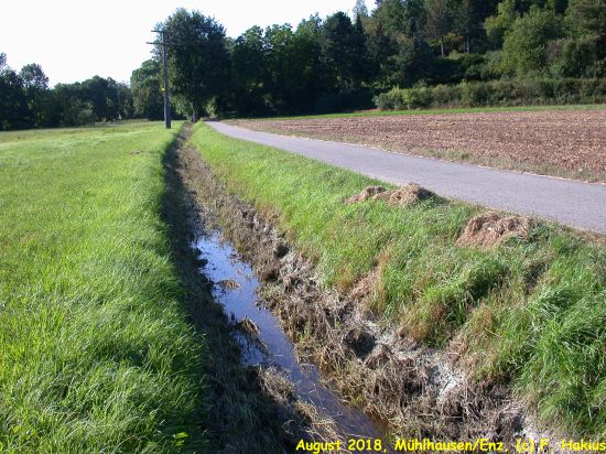 Enzwiesen-Bewässerung