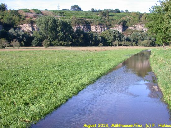 Enzwiesen-Bewässerung