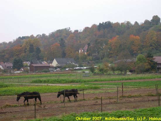 Oktober 2007