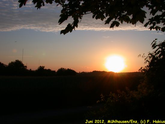 Juni 2012