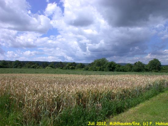 Juli 2012