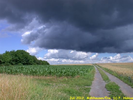 Juli 2012