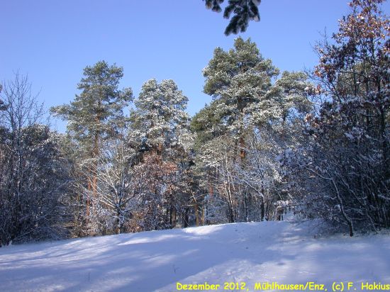 Dezember 2012
