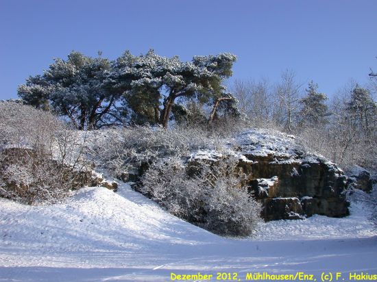 Dezember 2012