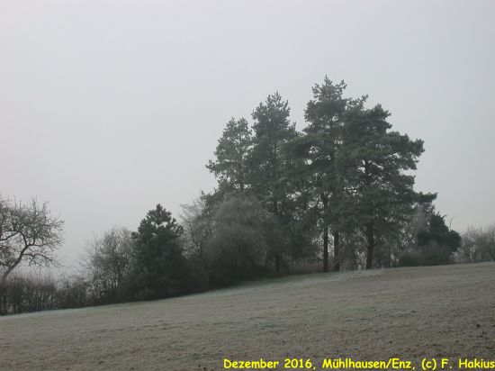 Dezember 2016
