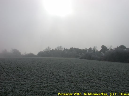 Dezember 2016