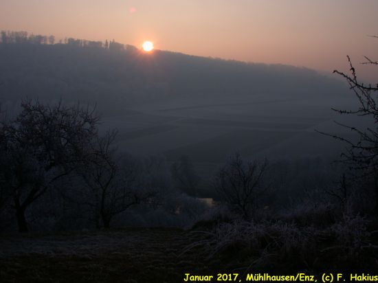 Januar 2017