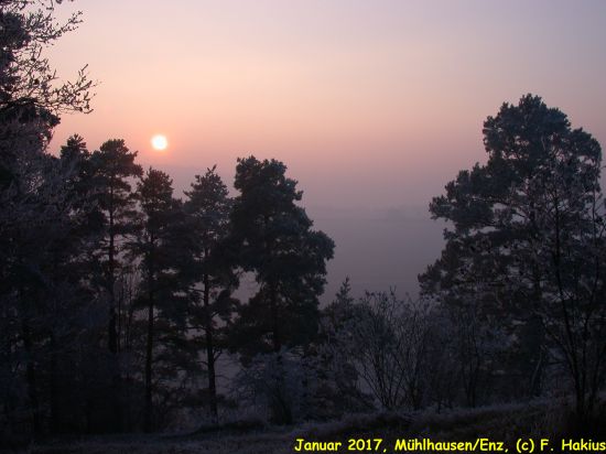Januar 2017