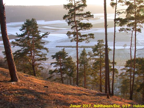 Januar 2017