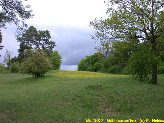Mai 2017