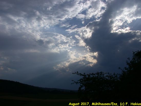 August 2017