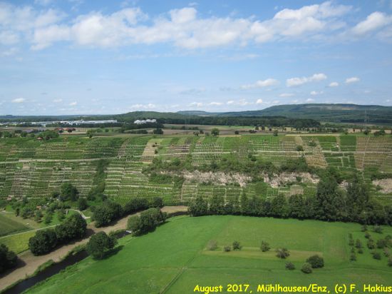 August 2017