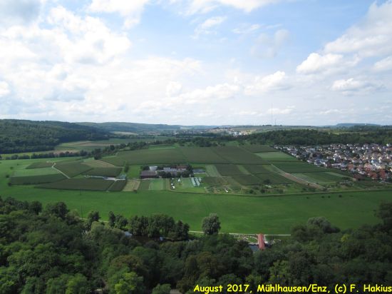 August 2017