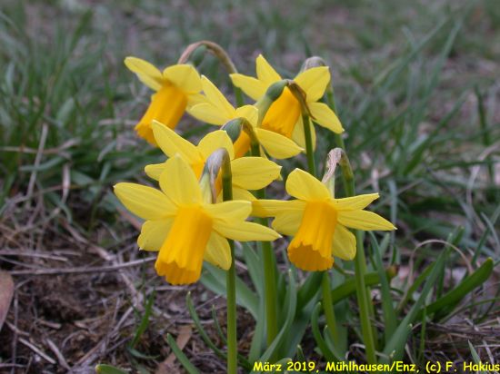 März 2019