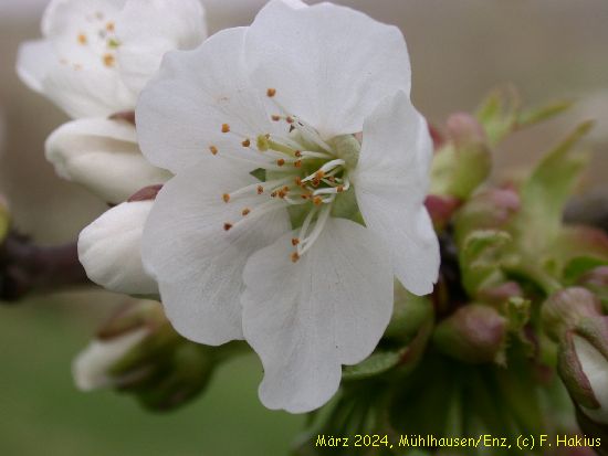 März 2024