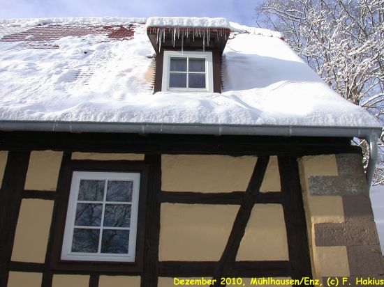 Schloß im Dezember 2010