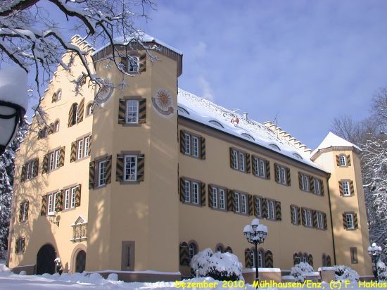 Schloß im Dezember 2010