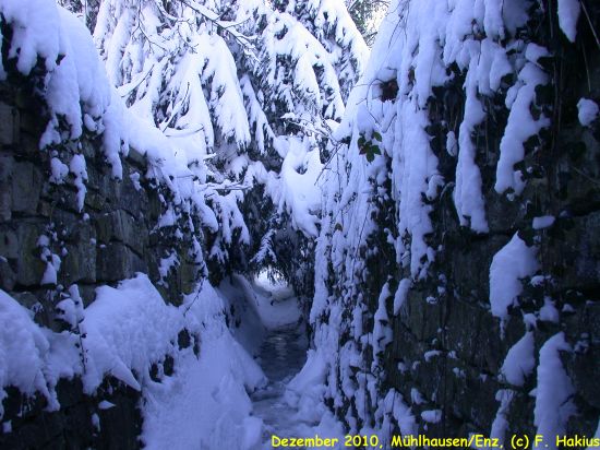 Schloß im Dezember 2010