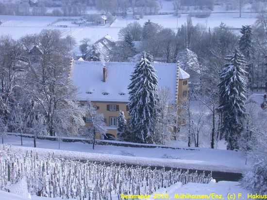 Schloß im Dezember 2010